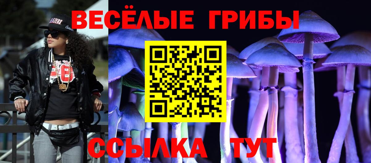 Псилоцибиновые грибы мухоморы Прокопьевск
